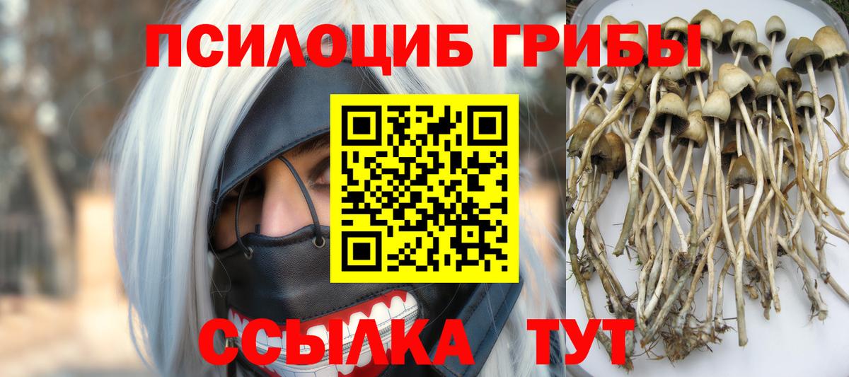 купить наркотик  Вход с VPN  Белово  Псилоцибиновые грибы GOLDEN TEACHER 